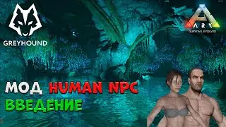 🐺 Мод Human NPCs ARK Survival Evolved - Введение. ПРОМОКОД. 2160p (4k)