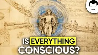 What is Consciousness? With Neil deGrasse Tyson & George Mashour