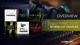 Everything Suite from Bad Cat Samples - Best Kontakt Library for Game and minimal Animation Scoring