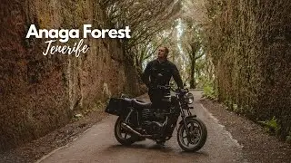 Anaga | The Magical North East of Tenerife