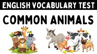 Common Animals: English Vocabulary