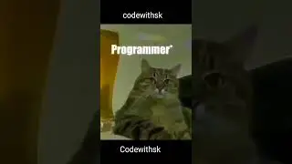 The Programmer's be | SLAY!