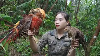 Detect traces of rare forest birds, set traps to catch them, survival alone