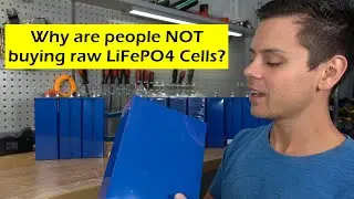 Why are people NOT buying raw LiFePO4 cells?