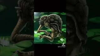 Art Lore: Kappa