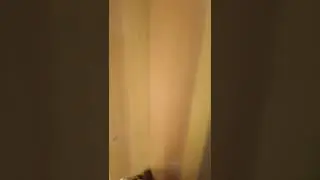 Нападение бабушки на внука