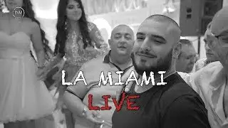 Darko Lazic feat Borko Radivojevic - LA MIAMI