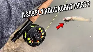 Wild Water Fly Fishing Combo Review