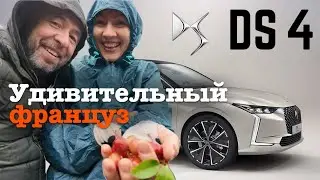 DS 4 2024. Француз в стремительном стиле или чем пугает Citroen?