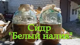 Сидр "Белый налив"