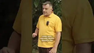 Листья ореха ОПАСНЫ Дачный агроном