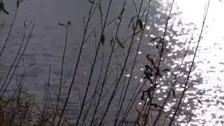 ХОЛОДНАЯ  РЕКА  Футаж вырезанный