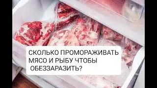 СКОЛЬКО ПРОМОРАЖИВАТЬ  РЫБУ 🐟 И МЯСО 🥩 ЧТОБЫ ЕГО ОБЕЗЗАРАЗИТЬ?