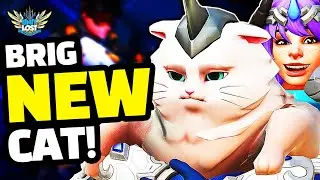 Overwatch Archives 2020 - ALL NEW SKINS! INSANE BRIG CAT EMOTE!