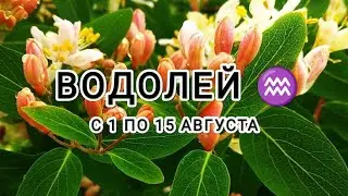 ВОДОЛЕЙ ♒ тароскоп на период с 1 по 15 августа &Aquarius taroscope from August 1 to 15