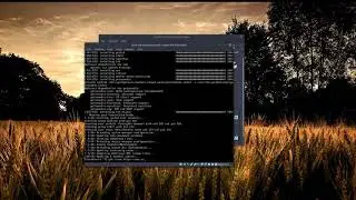 Installing i3 + ly display manager in Arch (VirtualBox)