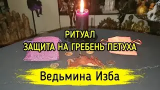 ЗАЩИТА НА ГРЕБЕНЬ ПЕТУХА. ВЕДЬМИНА ИЗБА ▶️ МАГИЯ