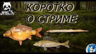 🌟ЧТО БЫЛО НА СТРИМЕ?🌟Русская Рыбалка 4(РР4)🌟