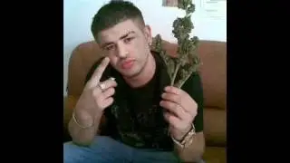 Noizy - Kta na dojn