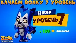 КАЧАЕМ ВОЛКА ДЖЕКА НА 7 ЛВЛ В ИГРЕ ZOOBA