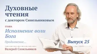 Выпуск 25. Духовные чтения с Валерием Синельниковым | Духовно- нравственное развитие человека