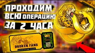 Как БЫСТРО ПРОЙТИ Операцию СЛОМАННЫЙ Клык За 2 ЧАСА ?