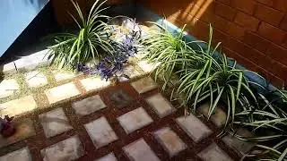 2-ஆண்டுகளுக்குப் பிறகு எங்க வீட்டு garden|interlock brick home |garden