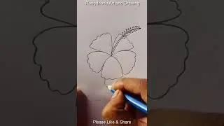Joba ful drawing || hibiscus flower 