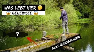 Angeln in einem MINI Geheimsee im Wald 😱 KRASS was hier abgeht 😍 + Gewinnspiel 🎁