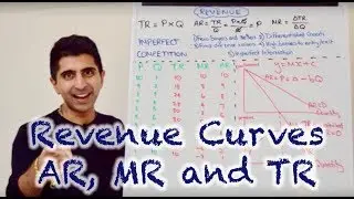 Y2 7) Revenue - MR, AR & TR