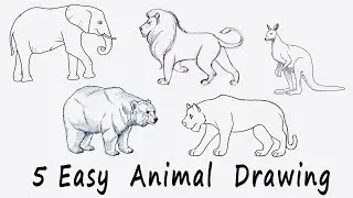 🟢 5 Easy Animal Drawing for Kids