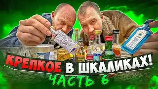 КРЕПКИЕ ШКАЛИКИ! ТАКОГО МЫ ОЖИДАЛИ!! ЧАСТЬ 6