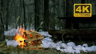 Cozy Winter Bonfire ASMR: Ultimate Sleep & Stress Relief 🔥🌲
