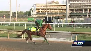 2 Japanese-bred horses set to compete in 149th Kentucky Derby