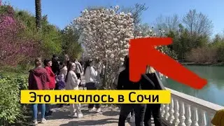 Это НАЧАЛОСЬ в Сочи сейчас. А также Красная Поляна в Сочи. Жизнь у моря на юге России в Сочи