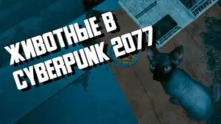 Отрывок из диалога про животных в Cyberpunk 2077