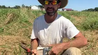 IF I HAD ONLY KNOWN! How To Fix a Leak in Black Plastic Water Irrigation Pipe: Garden + Animal Water