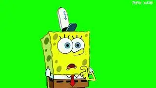Smug Sponge Bob Green Screen /smug spongebob green screen after effects /green screen animation