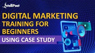 Digital Marketing for Beginners | Digital Marketing Training for Beginners | Intellipaat