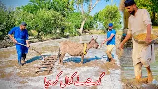 Donkey ne kaam Aasan kar diya 🫏