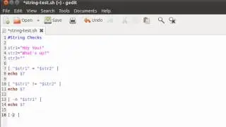 Shell Scripting Tutorial-33: Run Checks On Strings