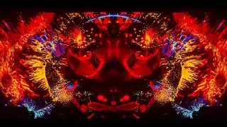 David Franz - Trouble With The Truth (Mad Alchemy Visualizer)