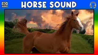 🐎 HORSE SOUND - HORSE SOUND EFFECT - SOUND OF HORSE - NOISE OF HORSE