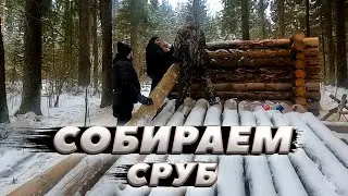 Стройка полным ходом | ЛЕСНОЙ ДОМ | ИЗБА | FOREST HOUSE | DUGOUT | HUT