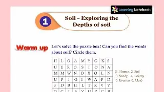 Class 4 Soil