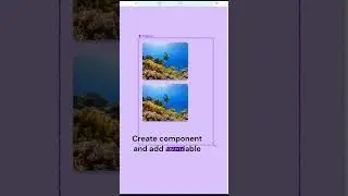 zoom on hover figma | Zoom on hover #shorts #shorts #viral