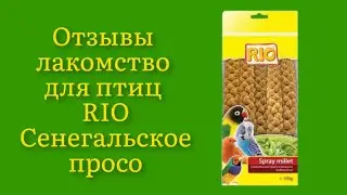 Стоит ли покупать лакомство для птиц RIO Сенегальское просо в колосьях 100г отзывы полные зёрнышек