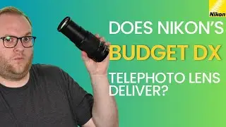 Nikon Z DX 50-250mm VR Lens Review - The Ultimate Budget Telephoto Lens for the Z mount?