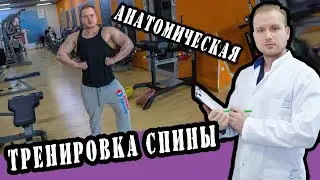Анатомия тренировки мышц спины или как накачать большую и здоровую спину... 
