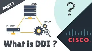 What is DDI? NETWORKS FOR WEB DEVELOPERS [